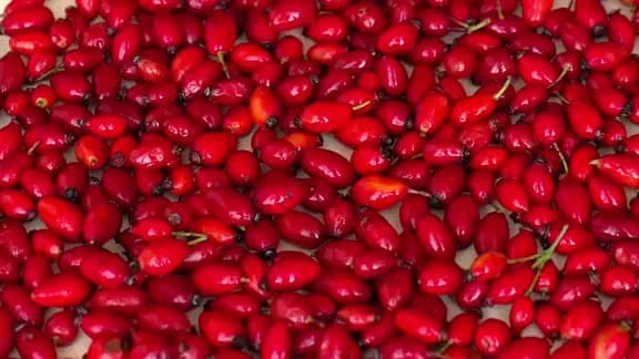 ノイバラ果実エキス。ビタミンｃ・ポリフェノール。